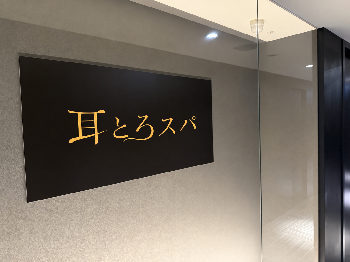 耳とろスパ イヤースコープ